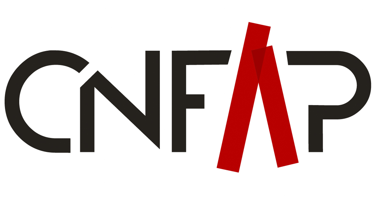 Mon adhésion au CNFAP — Conseil National Français des Arts Plastiques