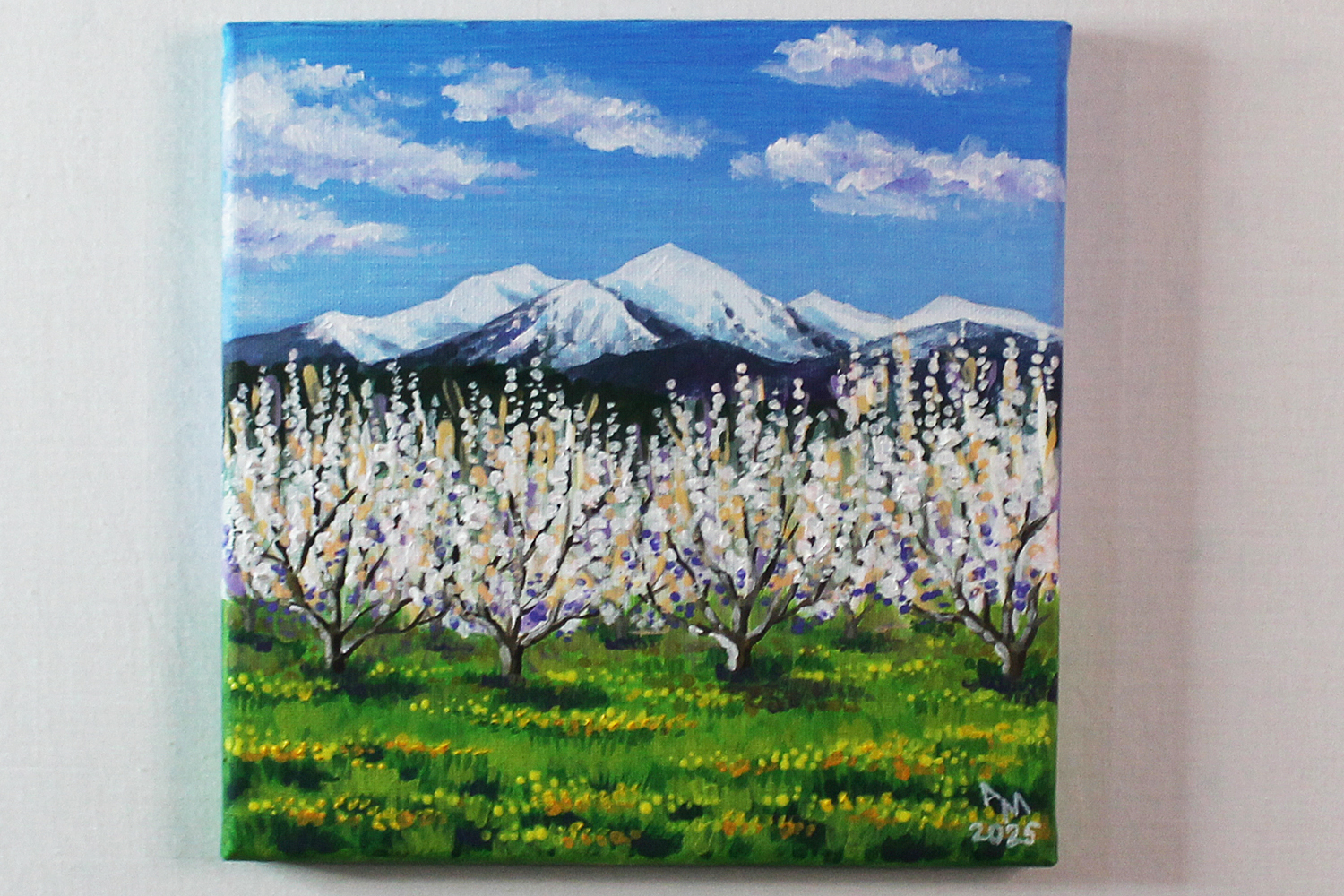 Printemps près du Canigou — Vue principale