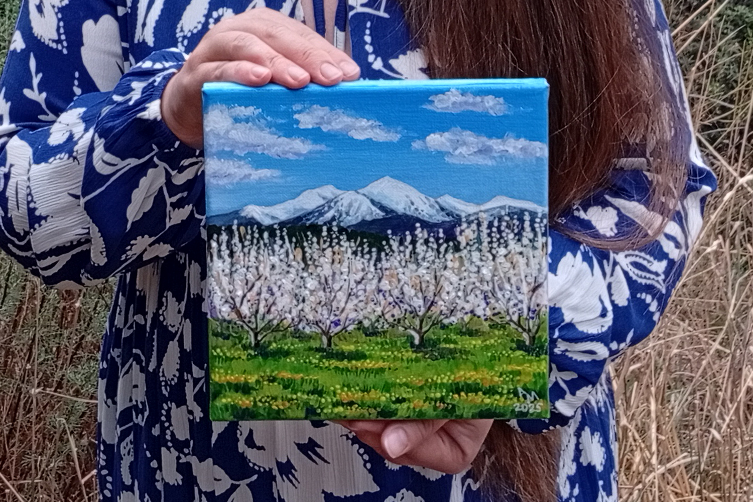 Printemps près du Canigou — Deuxième angle