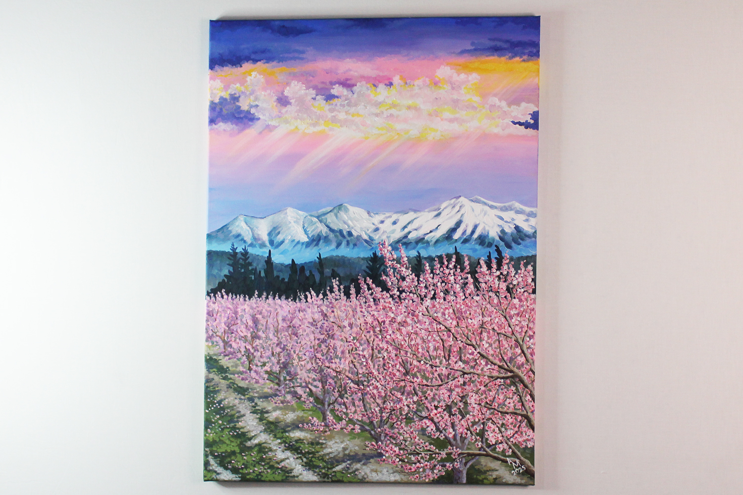 L’éclat du printemps sur le Canigou — vue principale